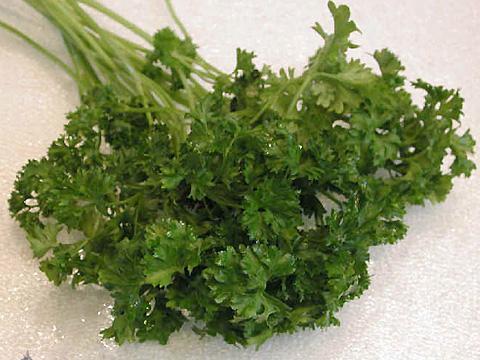 欧芹