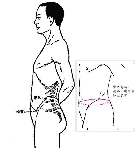 带脉