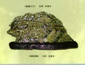 石是什么数字 1267642429172.jpg