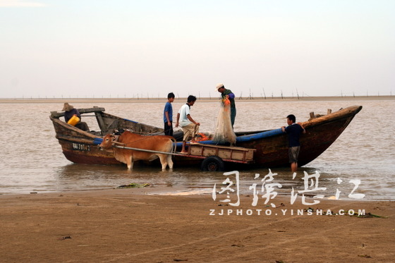 湛江海鲜生意_湛江海鲜_生意十字绣套件图片(2)