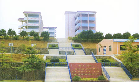 增城市永和高中-王朝网络-.cn表白墙漾濞中学图片