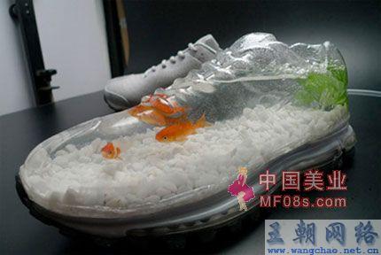 汉音对照 引人注目的另类鞋型鱼缸(3) 家品_居