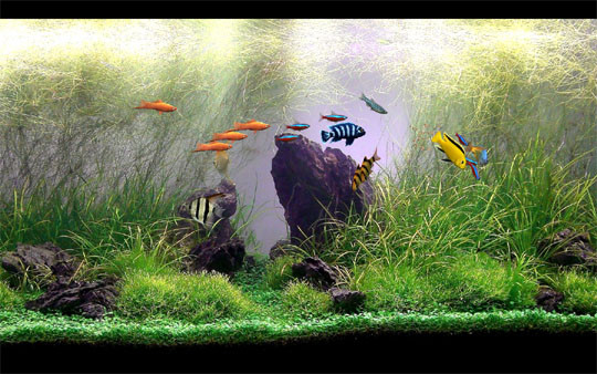 《梦幻水族馆1.24》(3D-Dream Aquarium 1.24