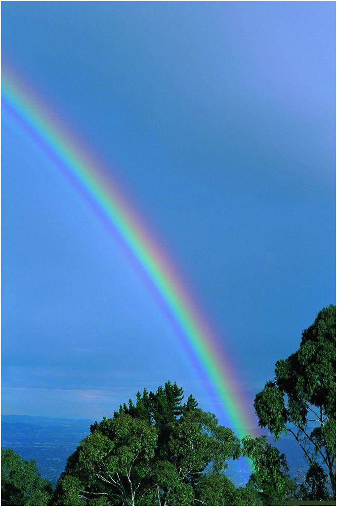 彩虹 自然风光 风景图片(41)