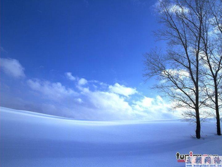 雪景 自然风光 风景图片(206)