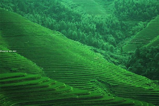 风景图片yang+shuo