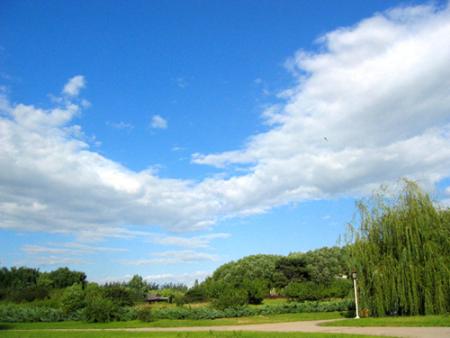 汉音对照 云和风筝图片 自然风光 风景图片 yun
