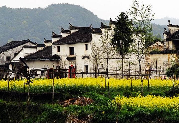 春到婺源图片 自然风光 风景图片(6)