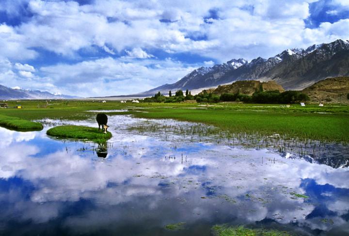 新疆喀什石头城图片 自然风光 风景图片(3)