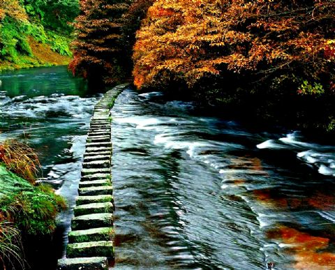 贵州最值得去的景点_贵州旅游十大景点排名,贵州最值得去的10个景点