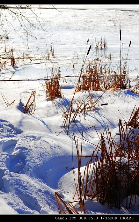 冰天雪地图片 自然风光 风景图片(19)