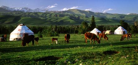 新疆旅游景点图片 自然风光 风景图片(3)