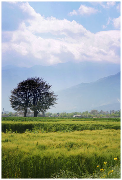 >> 大理田野图片 自然风光 风景图片 da li tian ye tu pian zi ran