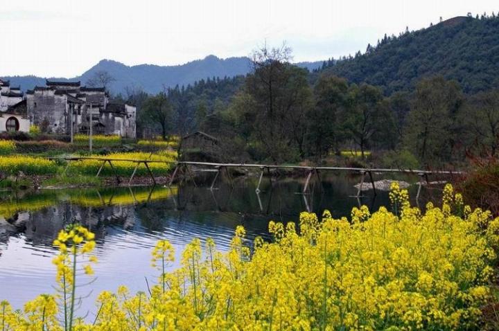 【婺源印象】——中国最美丽的农村图片 自然风光 风景图片(2)
