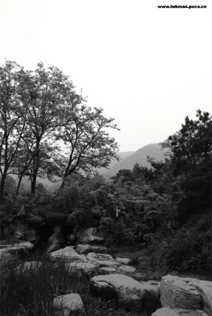 深山老林图片 自然风光 风景图片(6)