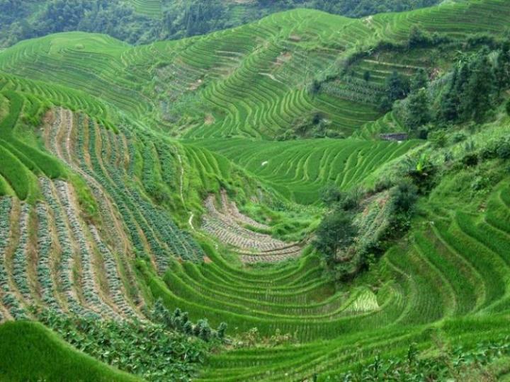 广西巴马宛田龙嵴图片 自然风光 风景图片(4)