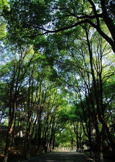 >> 夏日扫街图片 自然风光 风景图片 xia ri sao