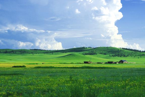 内蒙古东部行之三——诺干湖(新巴尔虎左旗)图片 自然风光 风景图片