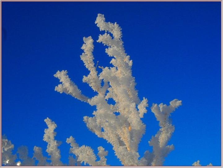 汉音对照 冰雪坝上-枯草印象图片 自然风光 风