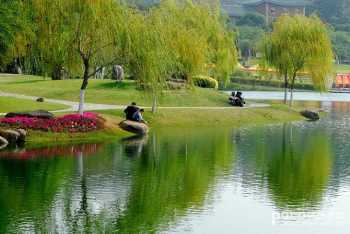 人间最美芙蓉湖畔图片 自然风光 风景图片(2)