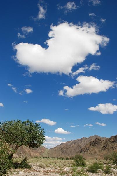 蓝蓝的天上白云飘图片 自然风光 风景图片(5)