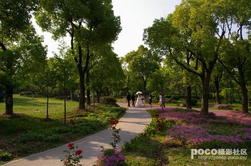 汉音对照 .大宁公园图片 自然风光 风景