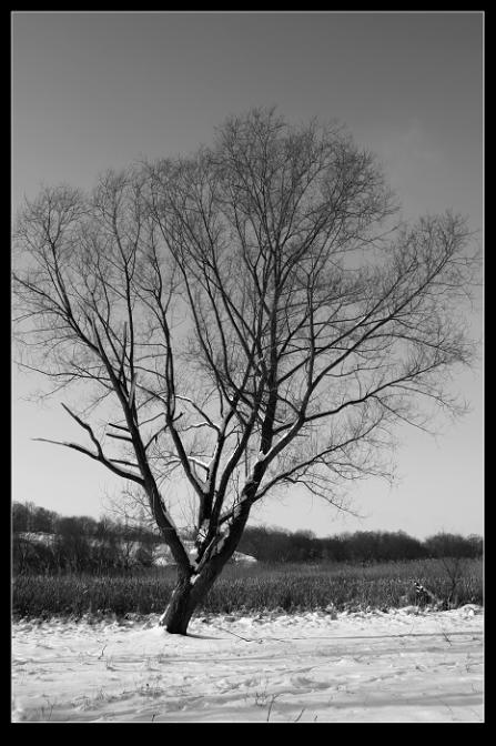 黑白图片 自然风光 风景图片(49)