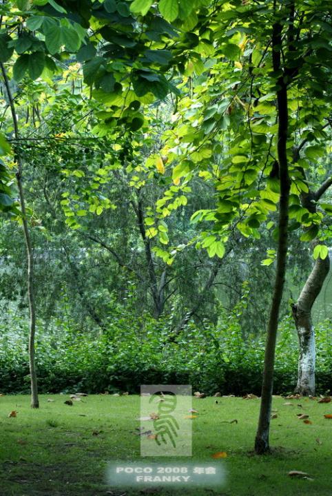 汉音对照 POCO年会日记图片 自然风光 风景图