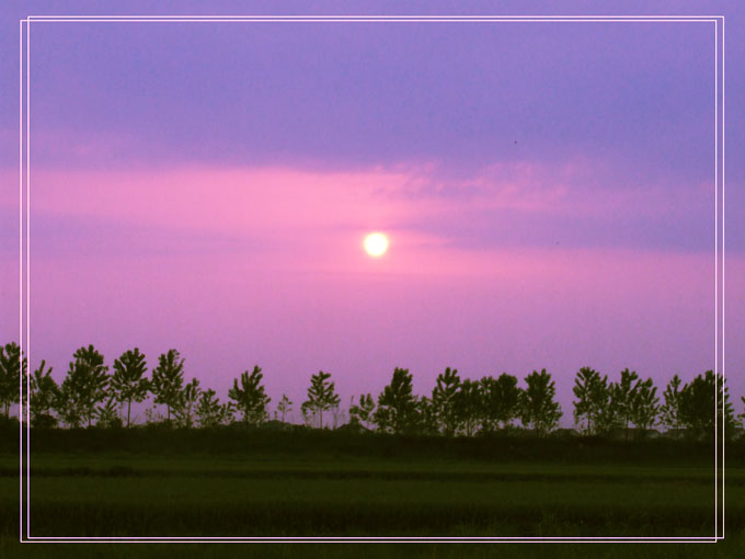 原野夕阳图片 自然风光 风景图片