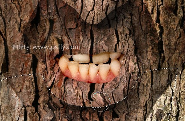 汉音对照 Photoshop人脸与树皮的合成特效效果