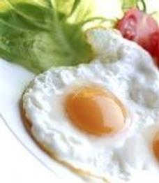 汉音对照 研究揭示:煎鸡蛋比煮鸡蛋效果更好?