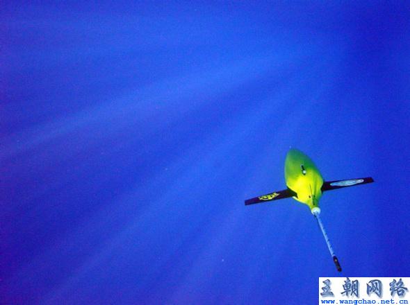 汉音对照 美国无人海洋滑翔机深海探寻突吻鲸