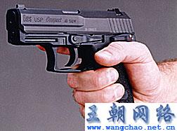 usp compact 紧凑型手枪(7)