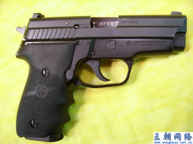 汉音对照 SIG SAUER P229手枪 SIG 