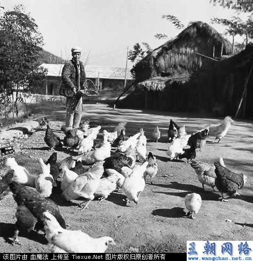 阿城县人口_阿城一中图片