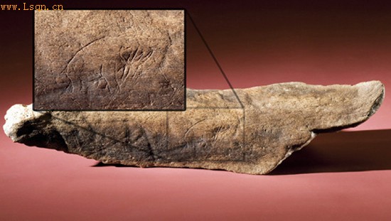 汉音对照 美国佛州发现史前石雕至少有1.3万年