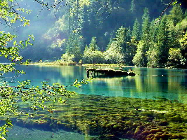 (树正沟靠山林栈道上看到的美景)