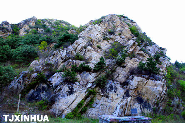 天津蓟县中上元古界桑树鞍地区古生物化石尽展奇观