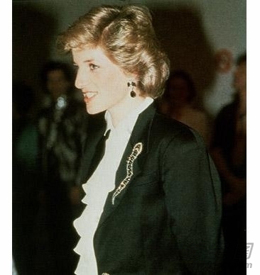 Wilson zhu bao shi pin qian wei fu gu(3) - 王朝网