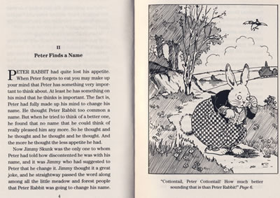  "Exploring the Adventures of Cottontail Peter Rabbit: A Journey Through the Enchanted Garden"