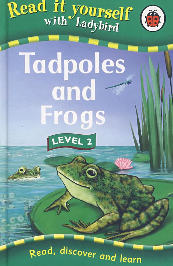 tadpoles and frogs蝌蚪与青蛙