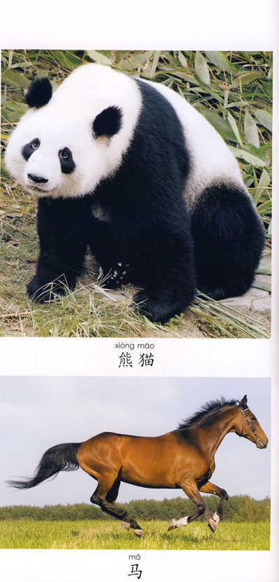 > 小朋友认知100系列:动物100 xiao peng you ren zhi 100 xi lie
