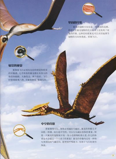 "发现号"少儿百科图书系列·恐龙大追踪——翼龙一族