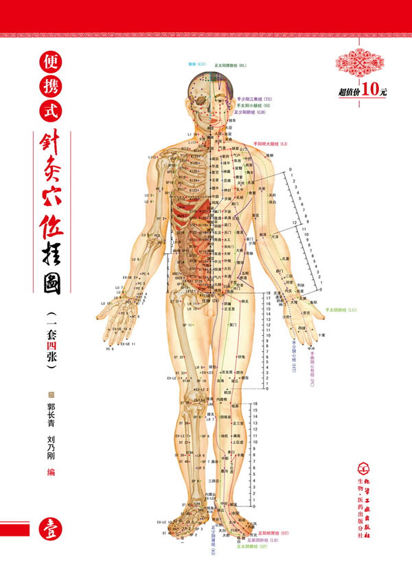 便携式针灸穴位挂图一套四张