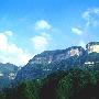 金佛山