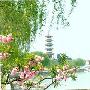 云龙湖