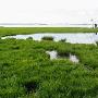 四川若尔盖湿地自然保护区