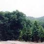 天井山国家森林公园