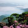 阳岭国家森林公园