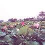 茶坛岛风景区